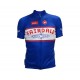 FAIRDALE Team Jersey Blue/Red Large