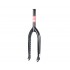 ODYSSEY R15 Fork Rust Proof Black