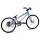 Chase 2024 Edge 16.25" TT Micro Mini Bike Slate